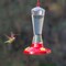 Perky-Pet Perky-Pet Hummingbird 8 oz Plastic Nectar Feeder 3 ports 211 - alternate 2